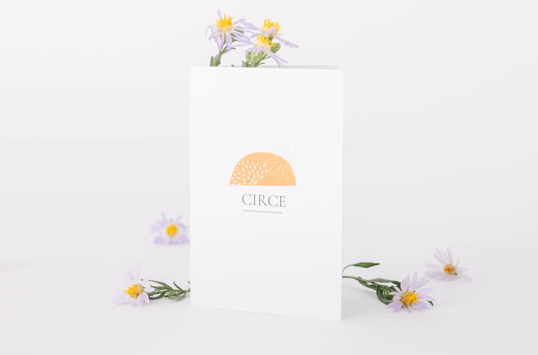 Gift Giving Explanation Card - Image 16