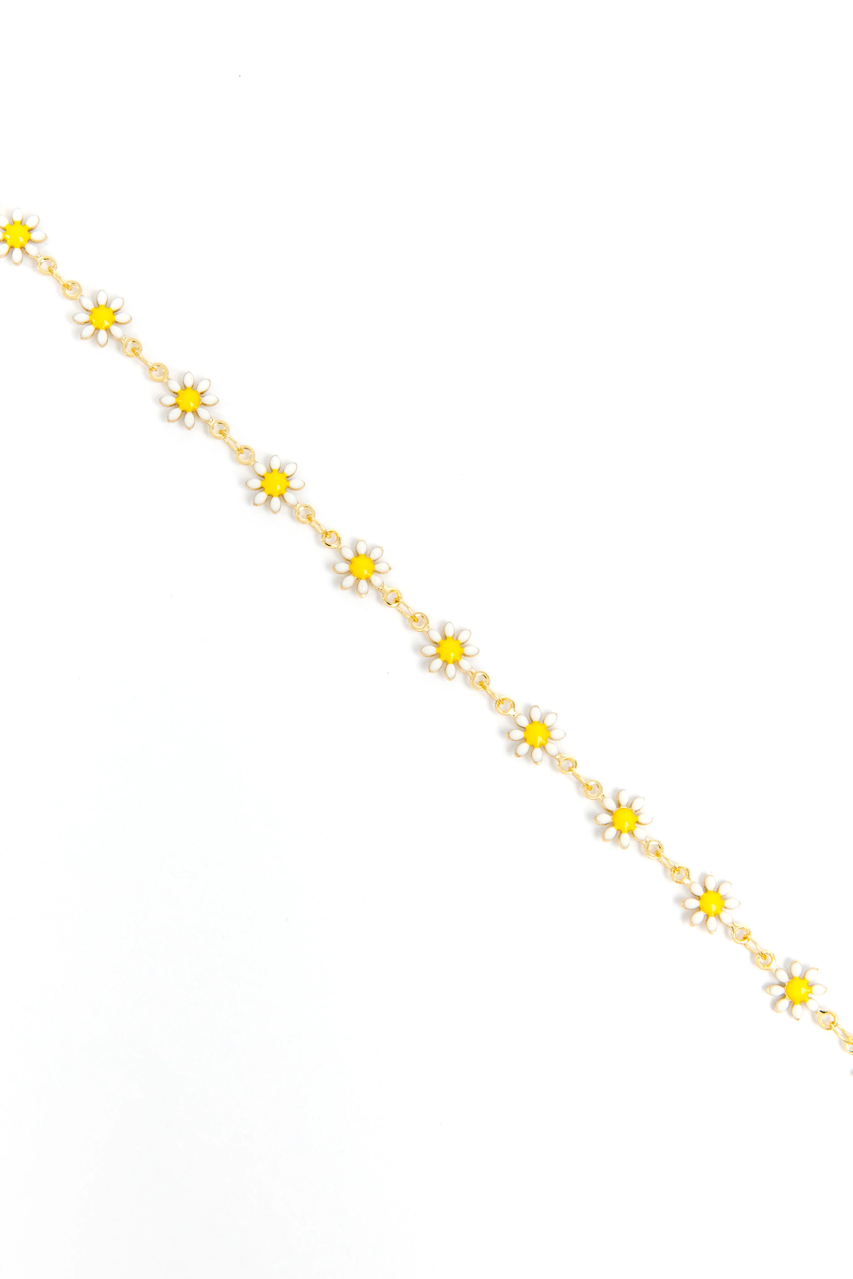 Coming up Daisies - Image 4