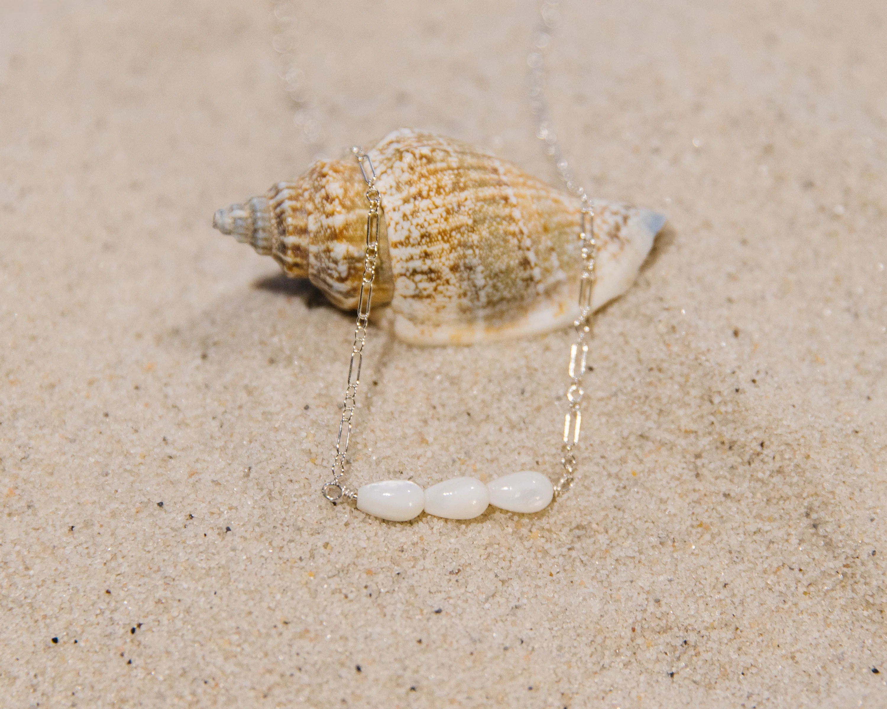 Shoreline - Image 16